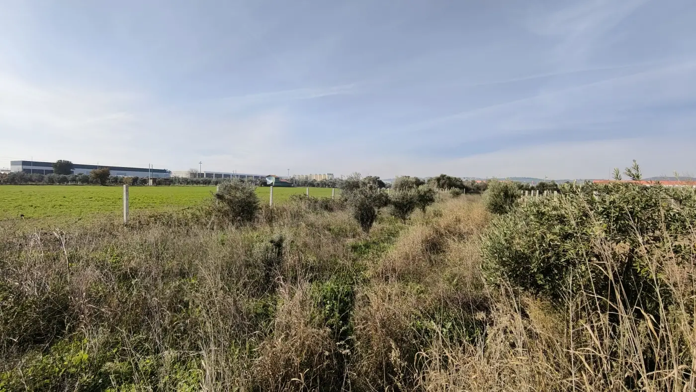 Gazi Mustafa Kemal Mah.de1.404 m² Tek Tapu Tel Çitli Arazi