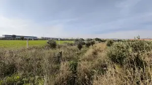 Gazi Mustafa Kemal Mah.de1.404 m² Tek Tapu Tel Çitli Arazi