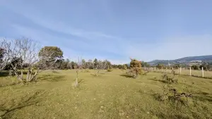 Dirmil Köy Yakını Ulaşımı Kolay Hisseli Tarla Dirmil Köy Yakını Ulaşımı Kolay Hisseli Tarla