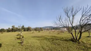 Dirmil Köy Yakını Ulaşımı Kolay Hisseli Tarla Dirmil Köy Yakını Ulaşımı Kolay Hisseli Tarla