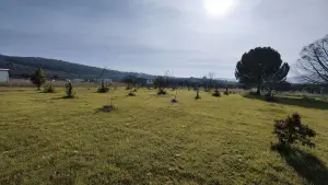 Dirmil Köy Yakını Ulaşımı Kolay Hisseli Tarla Dirmil Köy Yakını Ulaşımı Kolay Hisseli Tarla