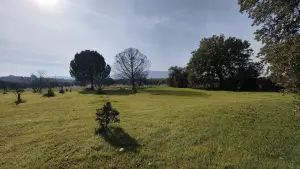 Dirmil Köy Yakını Ulaşımı Kolay Hisseli Tarla Dirmil Köy Yakını Ulaşımı Kolay Hisseli Tarla