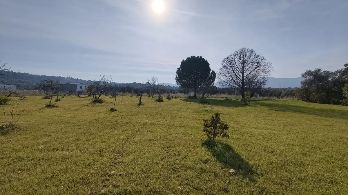 Dirmil Köy Yakını Ulaşımı Kolay Hisseli Tarla