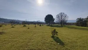 Dirmil Köy Yakını Ulaşımı Kolay Hisseli Tarla Dirmil Köy Yakını Ulaşımı Kolay Hisseli Tarla