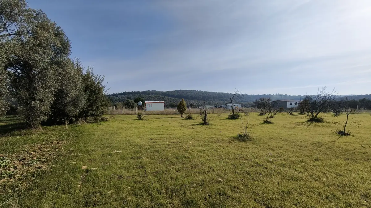 Dirmil Köy Yakını Ulaşımı Kolay Hisseli Tarla