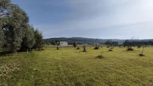 Dirmil Köy Yakını Ulaşımı Kolay Hisseli Tarla Dirmil Köy Yakını Ulaşımı Kolay Hisseli Tarla