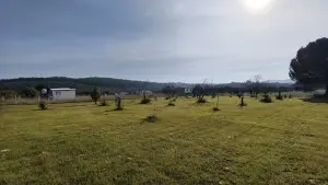 Dirmil Köy Yakını Ulaşımı Kolay Hisseli Tarla Dirmil Köy Yakını Ulaşımı Kolay Hisseli Tarla