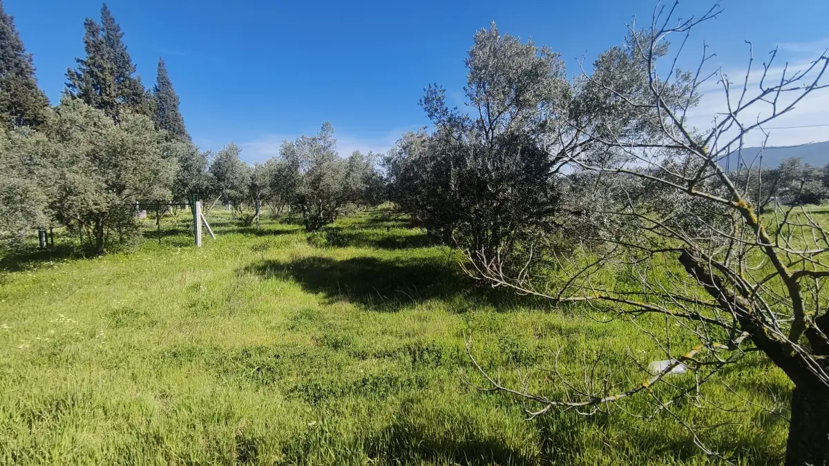 Gazi Mustafa Kemal Mahallesi'nde 354 M² 3 Kat İmarlı Arsa