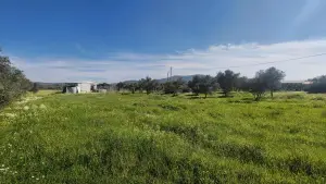 Gazi Mustafa Kemal Mahallesi'nde 354 M² 3 Kat İmarlı Arsa Gazi Mustafa Kemal Mahallesi'nde 354 M² 3 Kat İmarlı Arsa