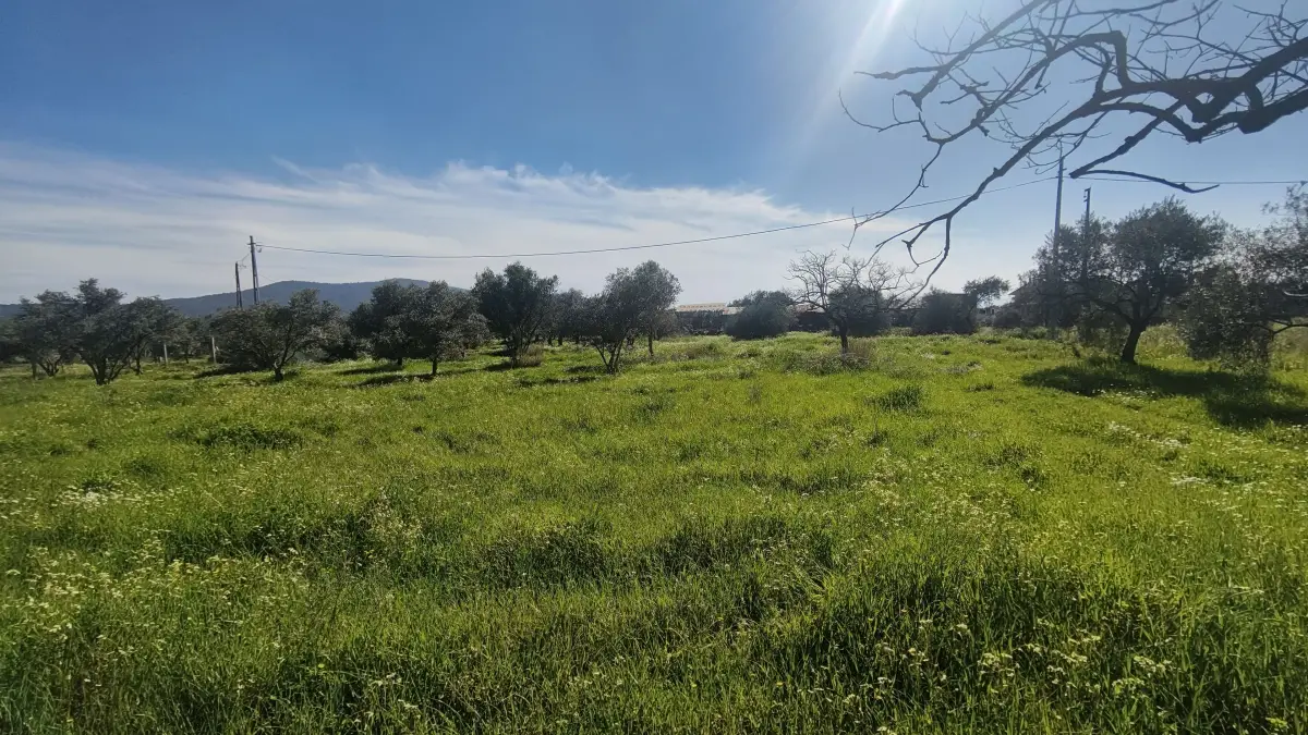 Gazi Mustafa Kemal Mahallesi'nde 354 M² 3 Kat İmarlı Arsa