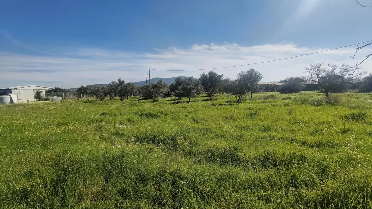 Gazi Mustafa Kemal Mahallesi'nde 354 M² 3 Kat İmarlı Arsa