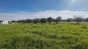 Gazi Mustafa Kemal Mahallesi'nde 354 M² 3 Kat İmarlı Arsa Gazi Mustafa Kemal Mahallesi'nde 354 M² 3 Kat İmarlı Arsa