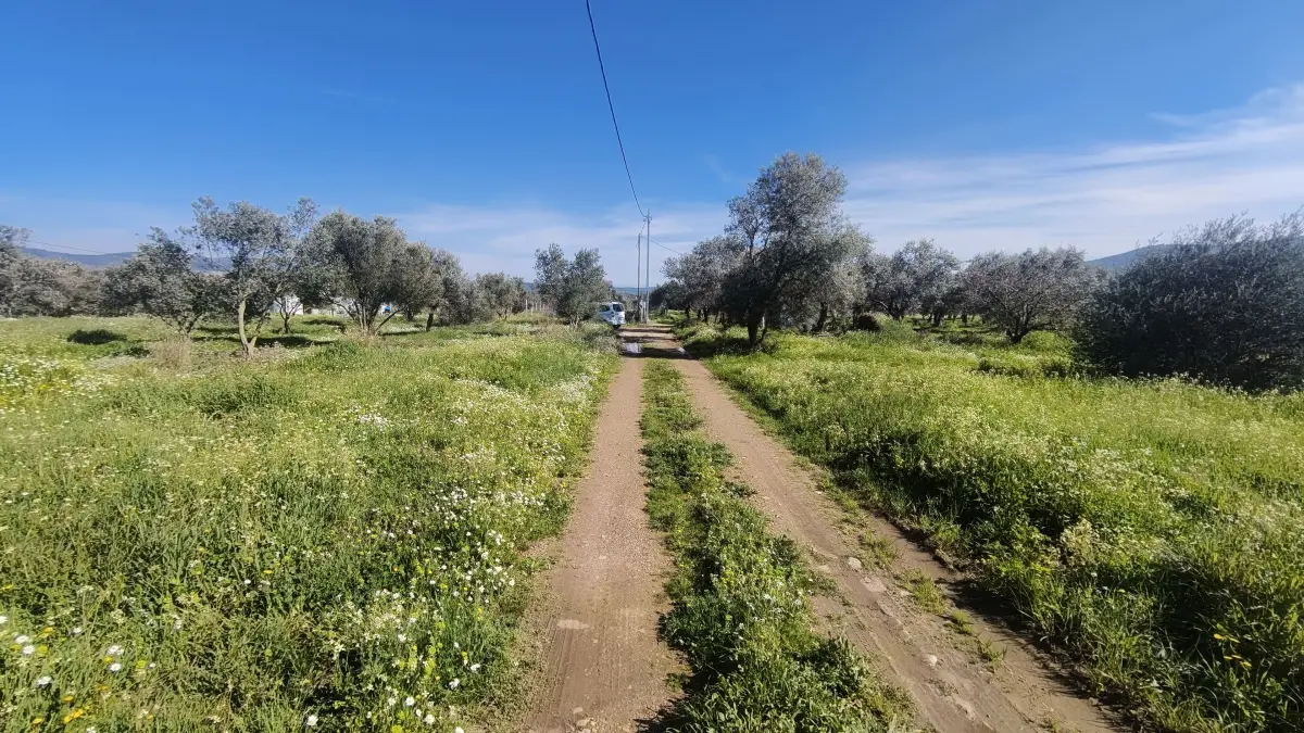 Gazi Mustafa Kemal Mahallesi'nde 354 M² 3 Kat İmarlı Arsa