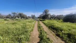 Gazi Mustafa Kemal Mahallesi'nde 354 M² 3 Kat İmarlı Arsa Gazi Mustafa Kemal Mahallesi'nde 354 M² 3 Kat İmarlı Arsa