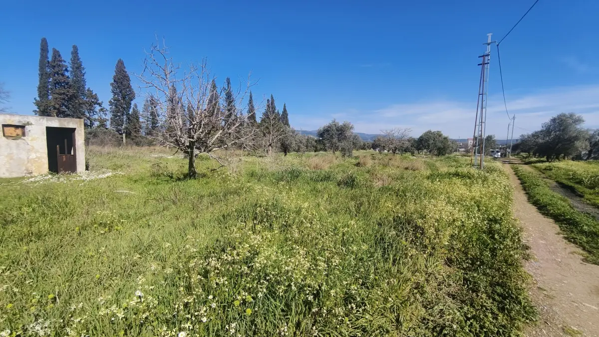 Gazi Mustafa Kemal Mahallesi'nde 354 M² 3 Kat İmarlı Arsa