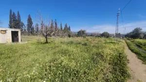 Gazi Mustafa Kemal Mahallesi'nde 354 M² 3 Kat İmarlı Arsa Gazi Mustafa Kemal Mahallesi'nde 354 M² 3 Kat İmarlı Arsa