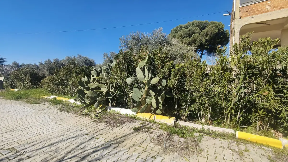 Gazi Mustafa Kemal Mahallesi'nde 354 M² 3 Kat İmarlı Arsa