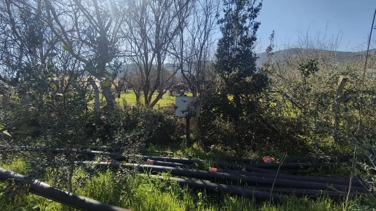 Altyapısı Hazır 33.900 m² Zeytinlik Ve Çok Amaçlı Tarım Arazisi