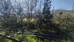 Altyapısı Hazır 33.900 m² Zeytinlik Ve Çok Amaçlı Tarım Arazisi Altyapısı Hazır 33.900 m² Zeytinlik Ve Çok Amaçlı Tarım Arazisi