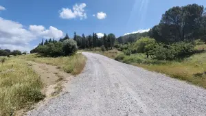 Arslanlar Hisse Tapulu Arazi