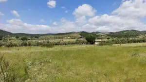 Arslanlar Hisse Tapulu Arazi