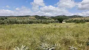 Arslanlar Hisse Tapulu Arazi