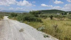 Arslanlar Hisse Tapulu Arazi