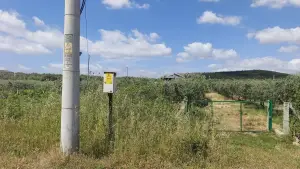 Arslanlar Hisse Tapulu Arazi