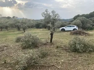 Sahipler'de Köy Yoluna Yakın 2'de 1 Hisse Satılık Arazi