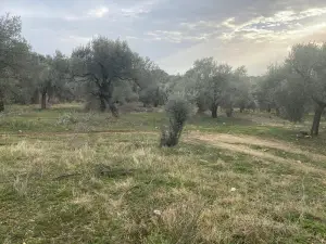 Sahipler'de Köy Yoluna Yakın 2'de 1 Hisse Satılık Arazi