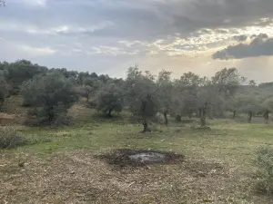 Sahipler'de Köy Yoluna Yakın 2'de 1 Hisse Satılık Arazi