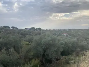 Sahipler'de Köy Yoluna Yakın 2'de 1 Hisse Satılık Arazi