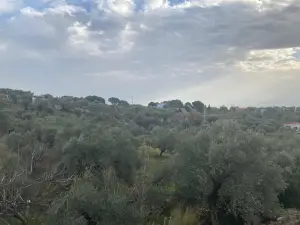 Sahipler'de Köy Yoluna Yakın 2'de 1 Hisse Satılık Arazi