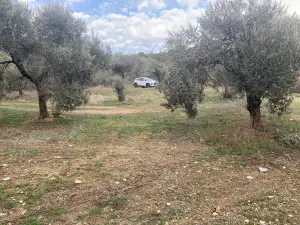 Sahipler'de Köy Yoluna Yakın 2'de 1 Hisse Satılık Arazi