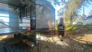 Zeytin Ağaçları Arasında Huzurlu Yaşam Sunan Satılık Tarla