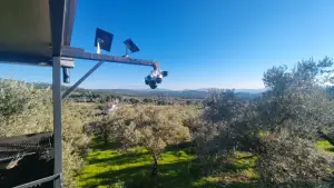 Zeytin Ağaçları Arasında Huzurlu Yaşam Sunan Satılık Tarla