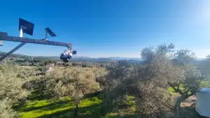 Zeytin Ağaçları Arasında Huzurlu Yaşam Sunan Satılık Tarla